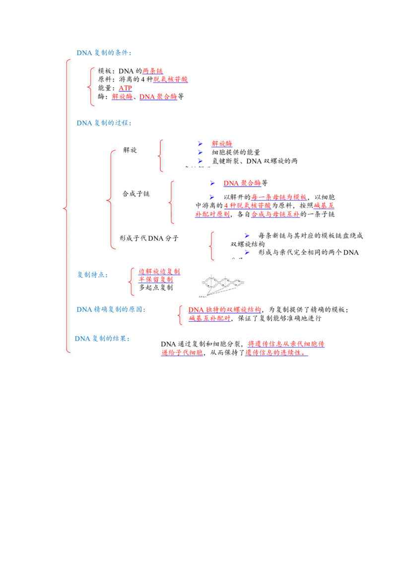 解密08遗传的分子学基础（讲义)（教师版）_新高考复习资料_2023年新高考复习资料_二轮复习_高频考点解密2023年高考生物二轮复习讲义+分层训练（全国通用）288808838