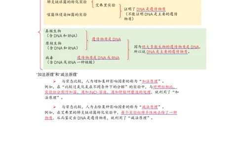 解密08遗传的分子学基础（讲义)（教师版）_新高考复习资料_2023年新高考复习资料_二轮复习_高频考点解密2023年高考生物二轮复习讲义+分层训练（全国通用）288808838