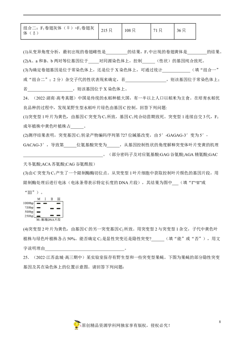 解密06遗传的基本规律（分层训练)（原卷版）_新高考复习资料_2023年新高考复习资料_二轮复习_高频考点解密2023年高考生物二轮复习讲义+分层训练（全国通用）288808838