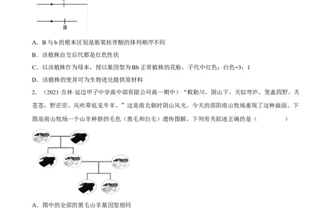 解密06遗传的基本规律（分层训练)（原卷版）_新高考复习资料_2023年新高考复习资料_二轮复习_高频考点解密2023年高考生物二轮复习讲义+分层训练（全国通用）288808838