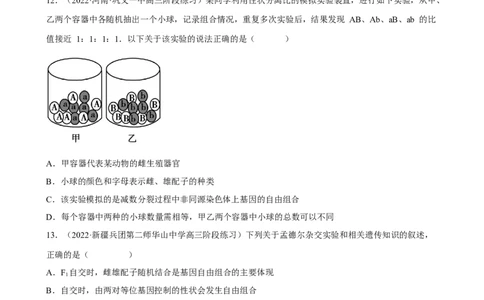 解密06遗传的基本规律（分层训练)（原卷版）_新高考复习资料_2023年新高考复习资料_二轮复习_高频考点解密2023年高考生物二轮复习讲义+分层训练（全国通用）288808838