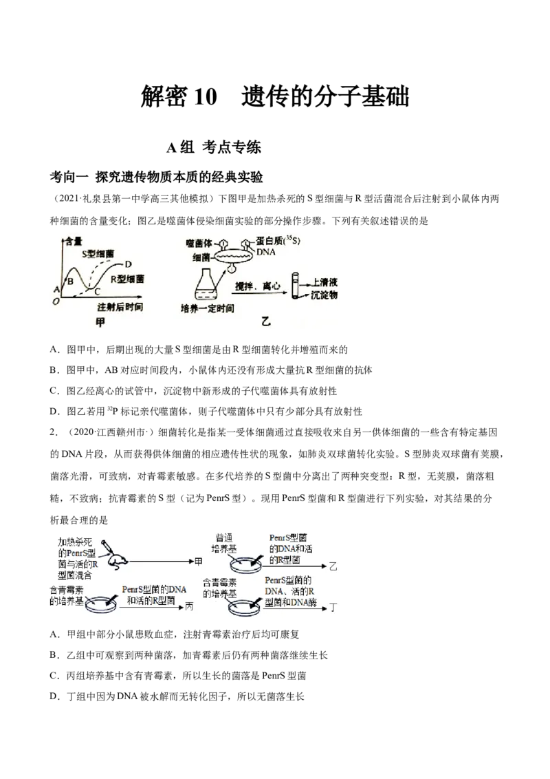 解密10遗传的分子基础（分层训练）（原卷版）_新高考复习资料_2021年新高考资料_高频考点解密2021年高考生物二轮复习讲义+分层训练4.7更新