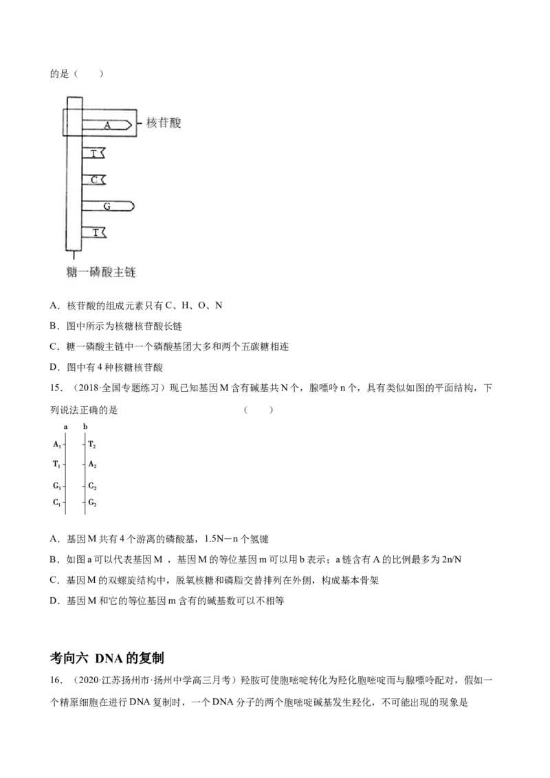 解密10遗传的分子基础（分层训练）（原卷版）_新高考复习资料_2021年新高考资料_高频考点解密2021年高考生物二轮复习讲义+分层训练4.7更新