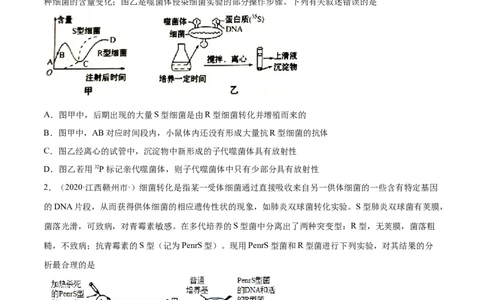 解密10遗传的分子基础（分层训练）（原卷版）_新高考复习资料_2021年新高考资料_高频考点解密2021年高考生物二轮复习讲义+分层训练4.7更新