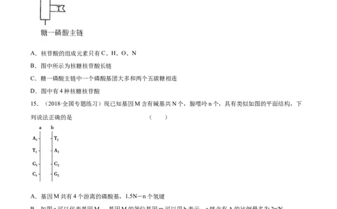 解密10遗传的分子基础（分层训练）（原卷版）_新高考复习资料_2021年新高考资料_高频考点解密2021年高考生物二轮复习讲义+分层训练4.7更新