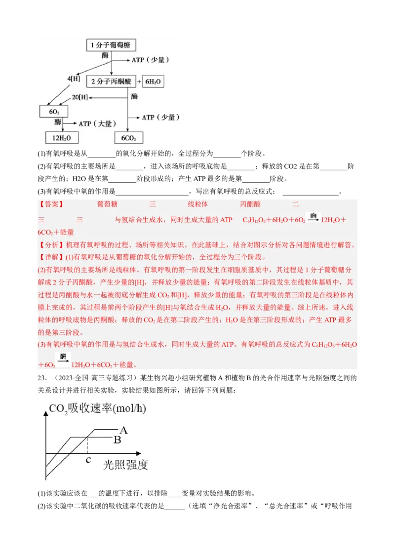 解密04细胞的能量供应和利用（分层训练)（解析版）_新高考复习资料_2023年新高考复习资料_二轮复习_高频考点解密2023年高考生物二轮复习讲义+分层训练（全国通用）288808838