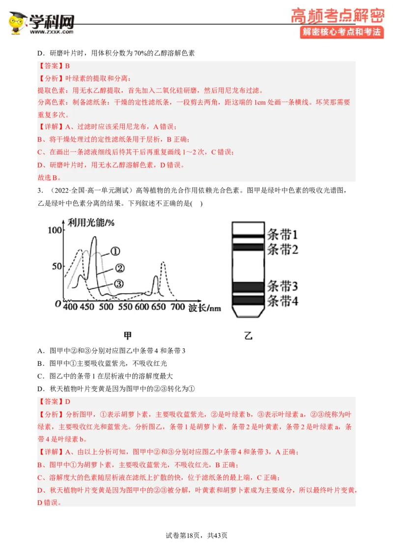 解密04细胞的能量供应和利用（分层训练)（解析版）_新高考复习资料_2023年新高考复习资料_二轮复习_高频考点解密2023年高考生物二轮复习讲义+分层训练（全国通用）288808838