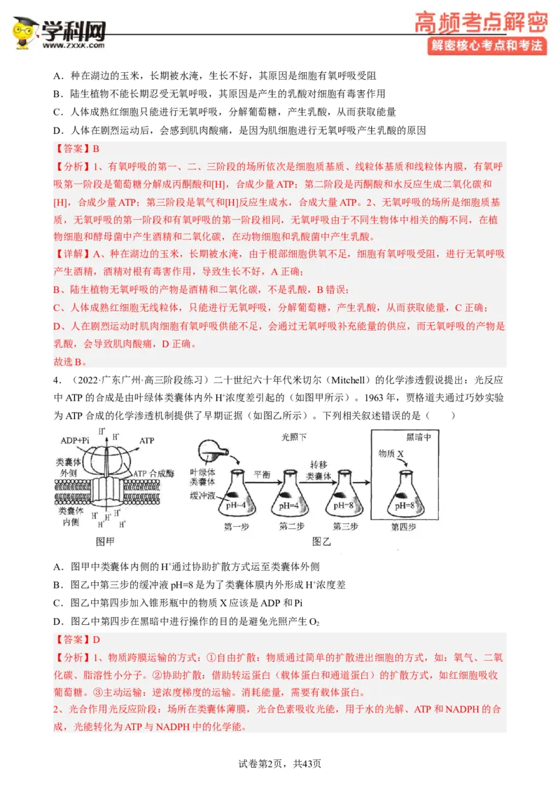 解密04细胞的能量供应和利用（分层训练)（解析版）_新高考复习资料_2023年新高考复习资料_二轮复习_高频考点解密2023年高考生物二轮复习讲义+分层训练（全国通用）288808838
