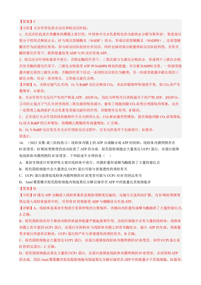 解密04细胞的能量供应和利用（分层训练)（解析版）_新高考复习资料_2023年新高考复习资料_二轮复习_高频考点解密2023年高考生物二轮复习讲义+分层训练（全国通用）288808838