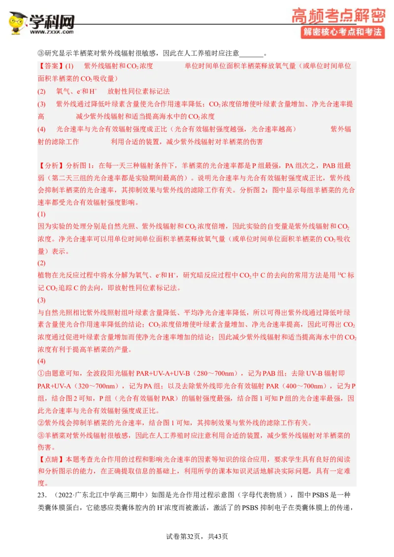 解密04细胞的能量供应和利用（分层训练)（解析版）_新高考复习资料_2023年新高考复习资料_二轮复习_高频考点解密2023年高考生物二轮复习讲义+分层训练（全国通用）288808838