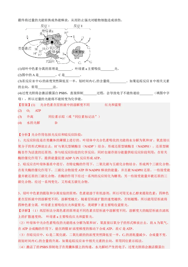 解密04细胞的能量供应和利用（分层训练)（解析版）_新高考复习资料_2023年新高考复习资料_二轮复习_高频考点解密2023年高考生物二轮复习讲义+分层训练（全国通用）288808838