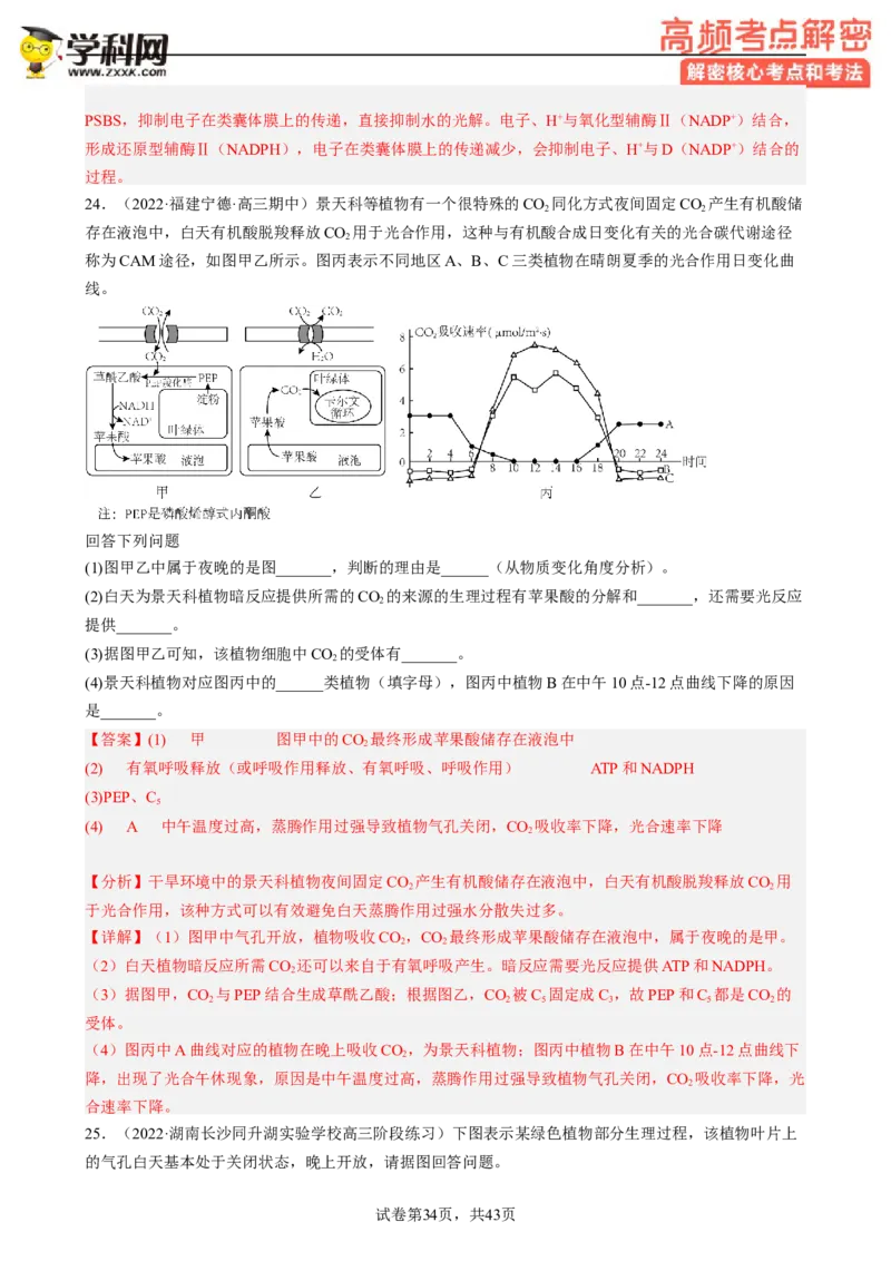 解密04细胞的能量供应和利用（分层训练)（解析版）_新高考复习资料_2023年新高考复习资料_二轮复习_高频考点解密2023年高考生物二轮复习讲义+分层训练（全国通用）288808838