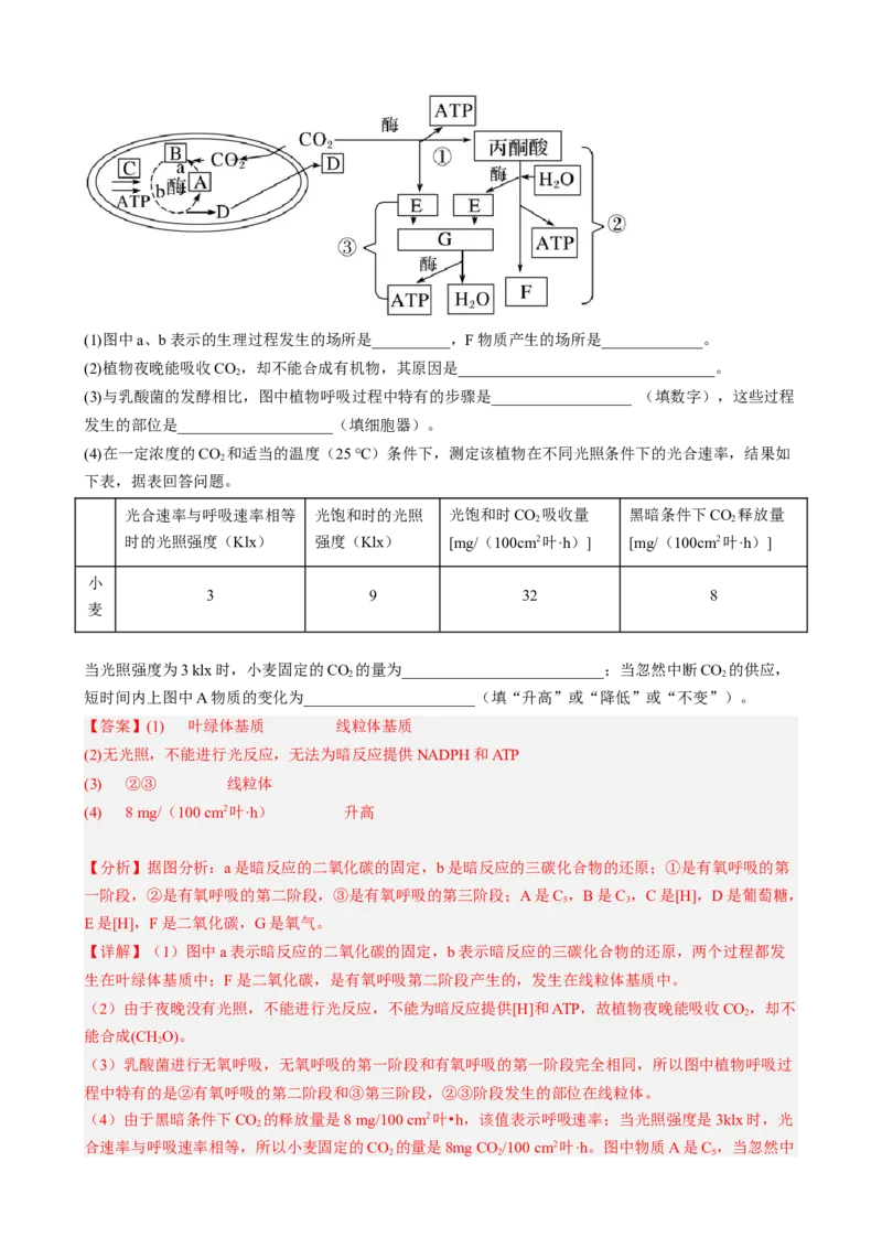 解密04细胞的能量供应和利用（分层训练)（解析版）_新高考复习资料_2023年新高考复习资料_二轮复习_高频考点解密2023年高考生物二轮复习讲义+分层训练（全国通用）288808838
