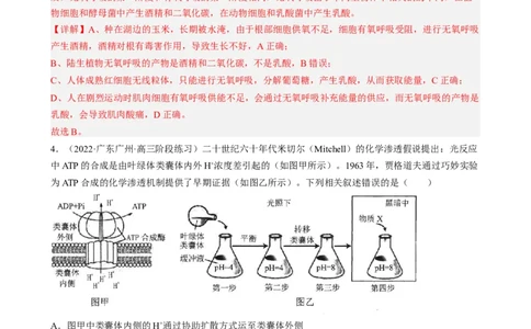 解密04细胞的能量供应和利用（分层训练)（解析版）_新高考复习资料_2023年新高考复习资料_二轮复习_高频考点解密2023年高考生物二轮复习讲义+分层训练（全国通用）288808838