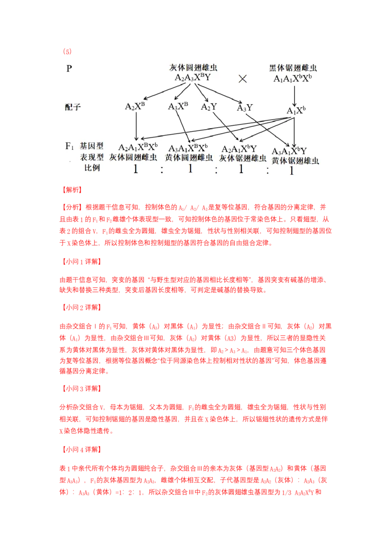 解密06遗传的基本规律（讲义)（教师版）_新高考复习资料_2023年新高考复习资料_二轮复习_高频考点解密2023年高考生物二轮复习讲义+分层训练（全国通用）288808838