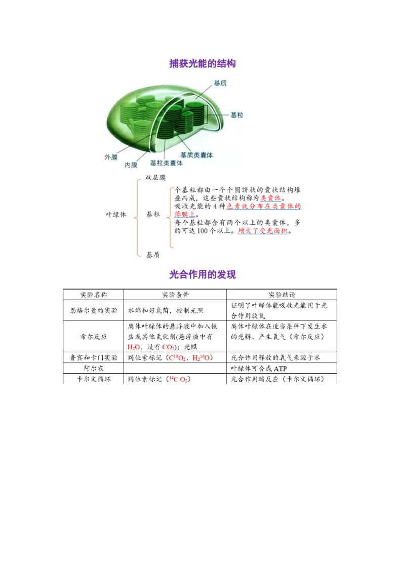解密04细胞的能量供应和利用（讲义)（教师版）_通用版（老高考）复习资料_2023年复习资料_二轮复习_高频考点解密2023年高考生物二轮复习讲义+分层训练（全国通用）