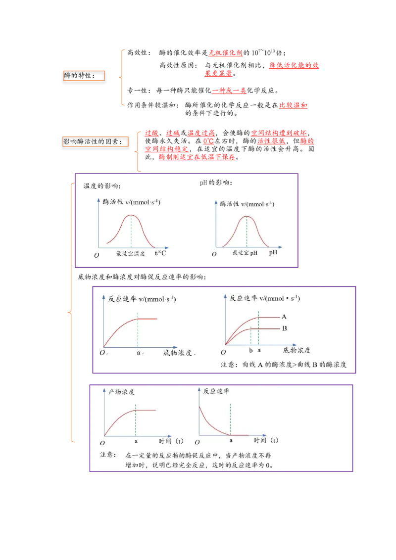 解密04细胞的能量供应和利用（讲义)（教师版）_通用版（老高考）复习资料_2023年复习资料_二轮复习_高频考点解密2023年高考生物二轮复习讲义+分层训练（全国通用）