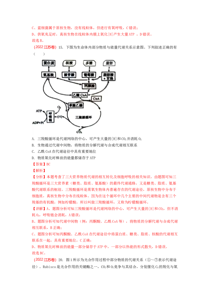 解密04细胞的能量供应和利用（讲义)（教师版）_通用版（老高考）复习资料_2023年复习资料_二轮复习_高频考点解密2023年高考生物二轮复习讲义+分层训练（全国通用）