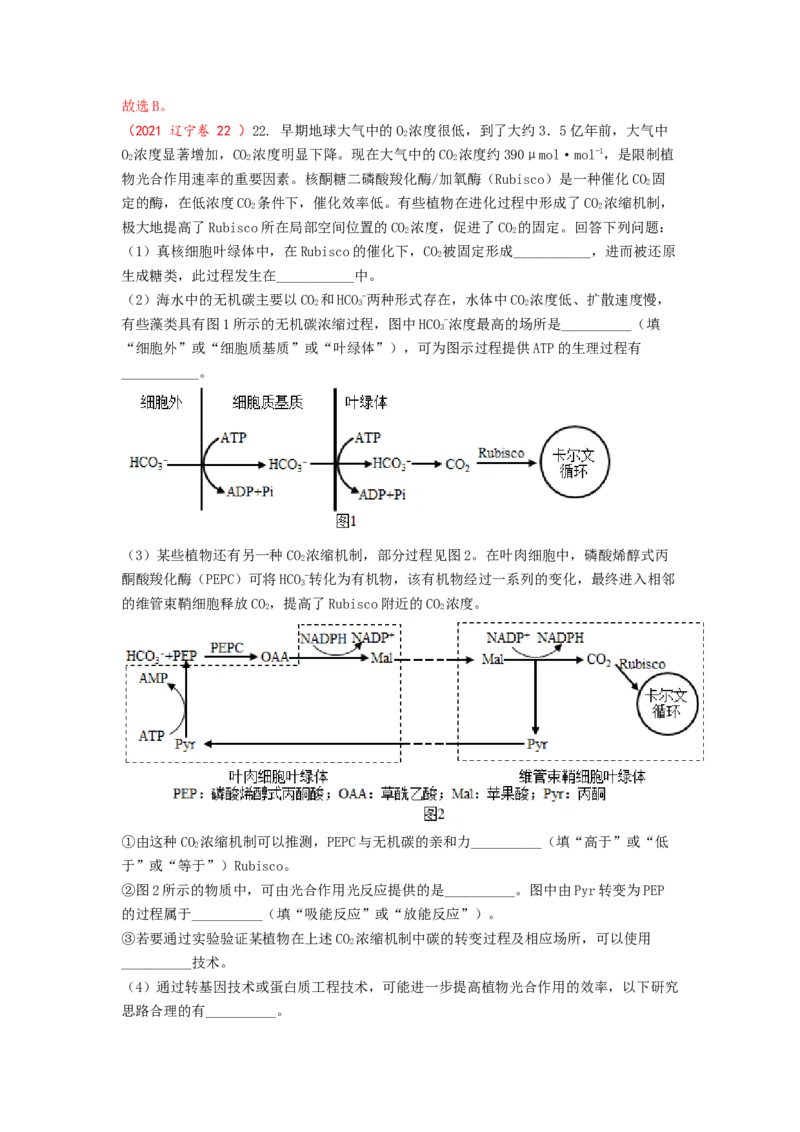 解密04细胞的能量供应和利用（讲义)（教师版）_通用版（老高考）复习资料_2023年复习资料_二轮复习_高频考点解密2023年高考生物二轮复习讲义+分层训练（全国通用）