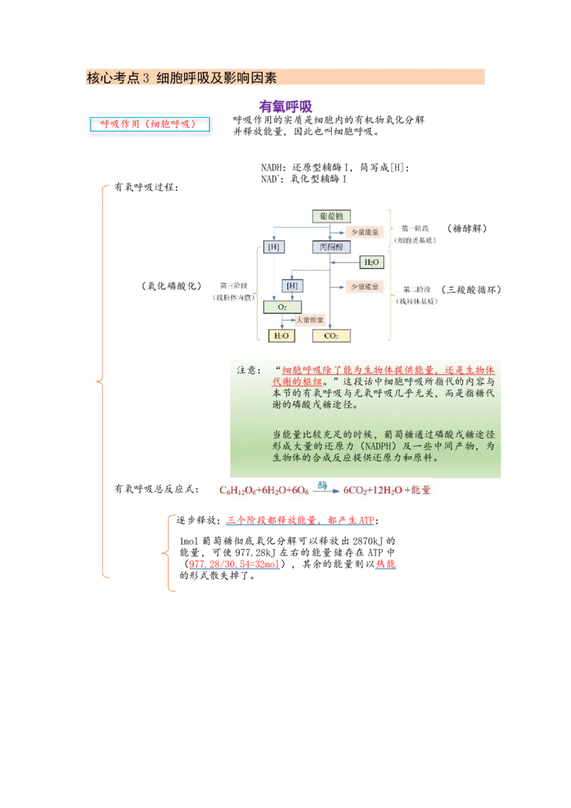 解密04细胞的能量供应和利用（讲义)（教师版）_通用版（老高考）复习资料_2023年复习资料_二轮复习_高频考点解密2023年高考生物二轮复习讲义+分层训练（全国通用）