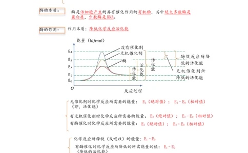 解密04细胞的能量供应和利用（讲义)（教师版）_通用版（老高考）复习资料_2023年复习资料_二轮复习_高频考点解密2023年高考生物二轮复习讲义+分层训练（全国通用）
