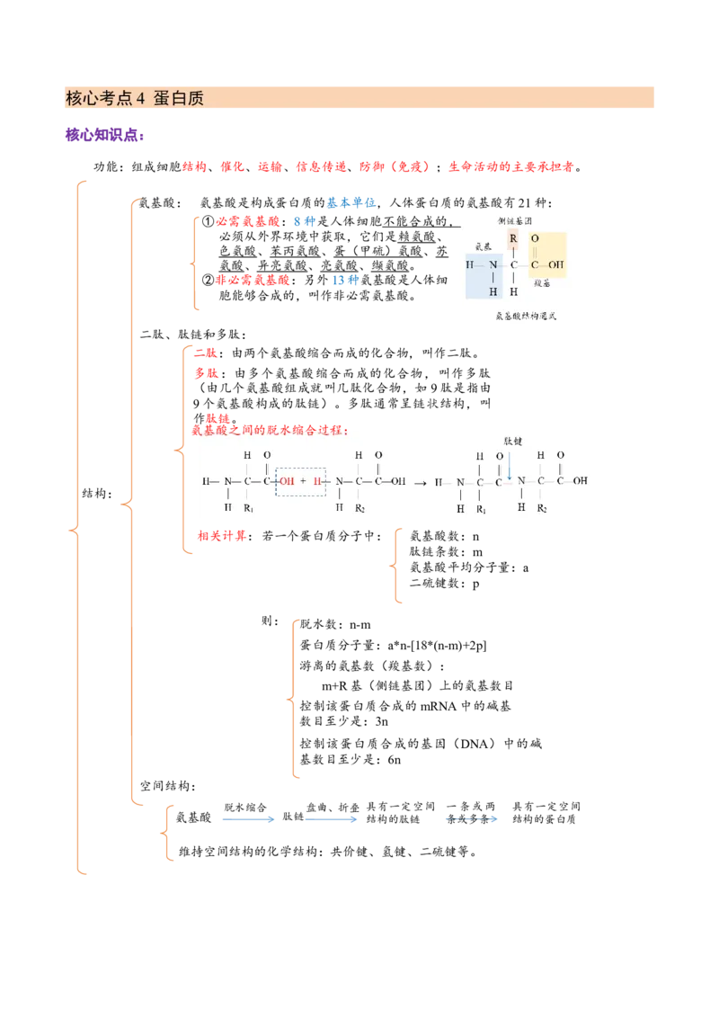 解密01组成细胞的元素与化合物（讲义）（教师版）_新高考复习资料_2023年新高考复习资料_二轮复习_高频考点解密2023年高考生物二轮复习讲义+分层训练（全国通用）288808838