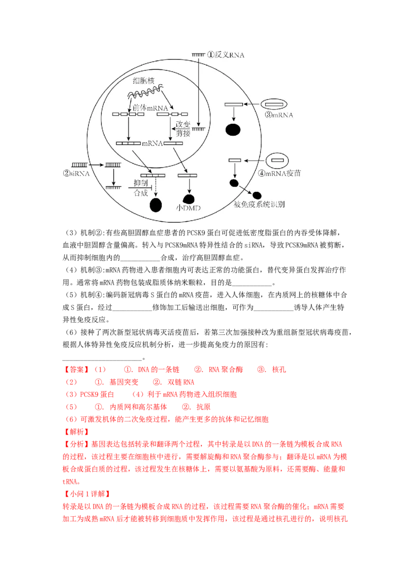 解密09生物的变异（讲义)（教师版）_新高考复习资料_2023年新高考复习资料_二轮复习_高频考点解密2023年高考生物二轮复习讲义+分层训练（全国通用）288808838
