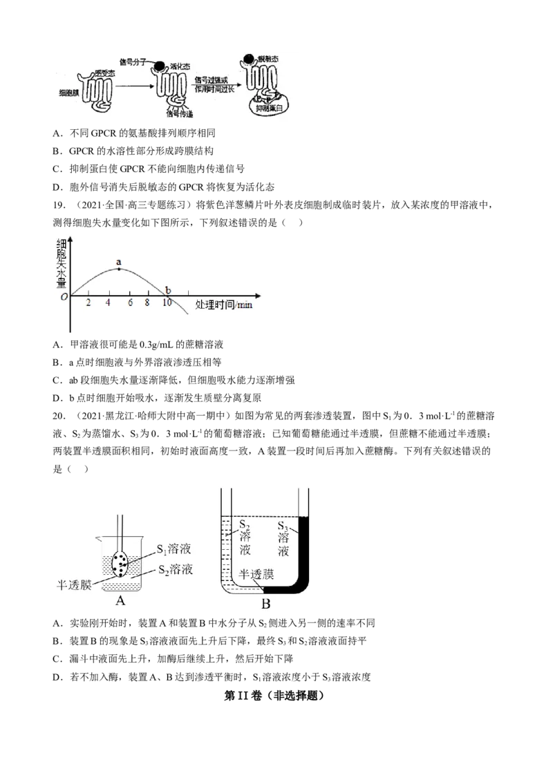 解密03细胞的物质输入和输出（分层训练)（原卷版）_新高考复习资料_2023年新高考复习资料_二轮复习_高频考点解密2023年高考生物二轮复习讲义+分层训练（全国通用）288808838