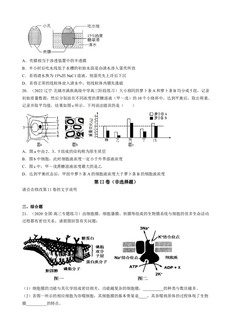 解密03细胞的物质输入和输出（分层训练)（原卷版）_新高考复习资料_2023年新高考复习资料_二轮复习_高频考点解密2023年高考生物二轮复习讲义+分层训练（全国通用）288808838