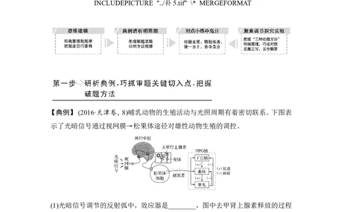 补上一课5动物激素生理功能的相关实验分析_新高考复习资料_2022年新高考复习资料_2022年一轮复习最新版_1.2022年高考生物一轮复习全国通用版_赠送word习题库_必修3