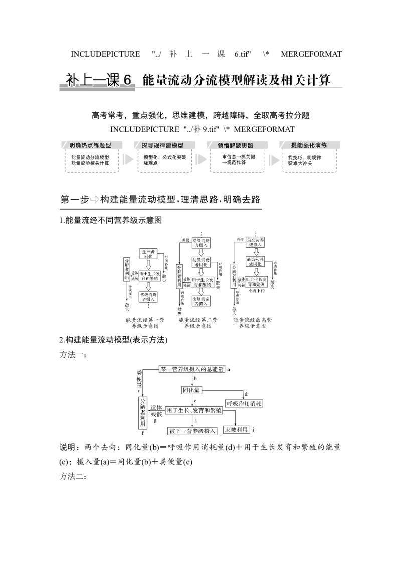 补上一课6能量流动分流模型解读及相关计算_新高考复习资料_2022年新高考复习资料_2022年一轮复习最新版_1.2022年高考生物一轮复习全国通用版_赠送word习题库_必修3