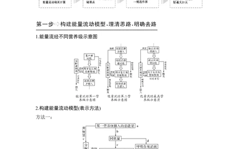 补上一课6能量流动分流模型解读及相关计算_新高考复习资料_2022年新高考复习资料_2022年一轮复习最新版_1.2022年高考生物一轮复习全国通用版_赠送word习题库_必修3