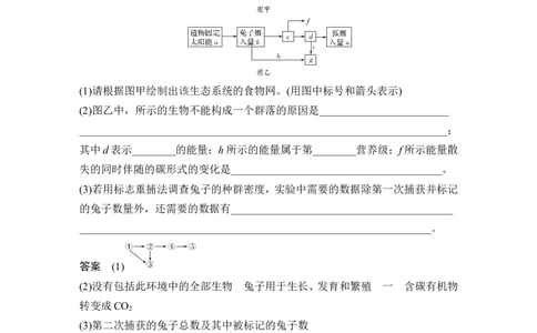 补上一课6能量流动分流模型解读及相关计算_新高考复习资料_2022年新高考复习资料_2022年一轮复习最新版_1.2022年高考生物一轮复习全国通用版_赠送word习题库_必修3