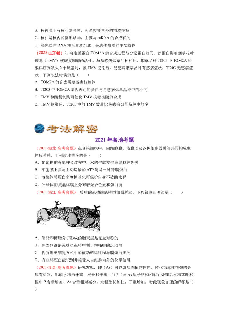 解密02细胞的基本结构（讲义)（学生版）_新高考复习资料_2023年新高考复习资料_二轮复习_高频考点解密2023年高考生物二轮复习讲义+分层训练（全国通用）288808838
