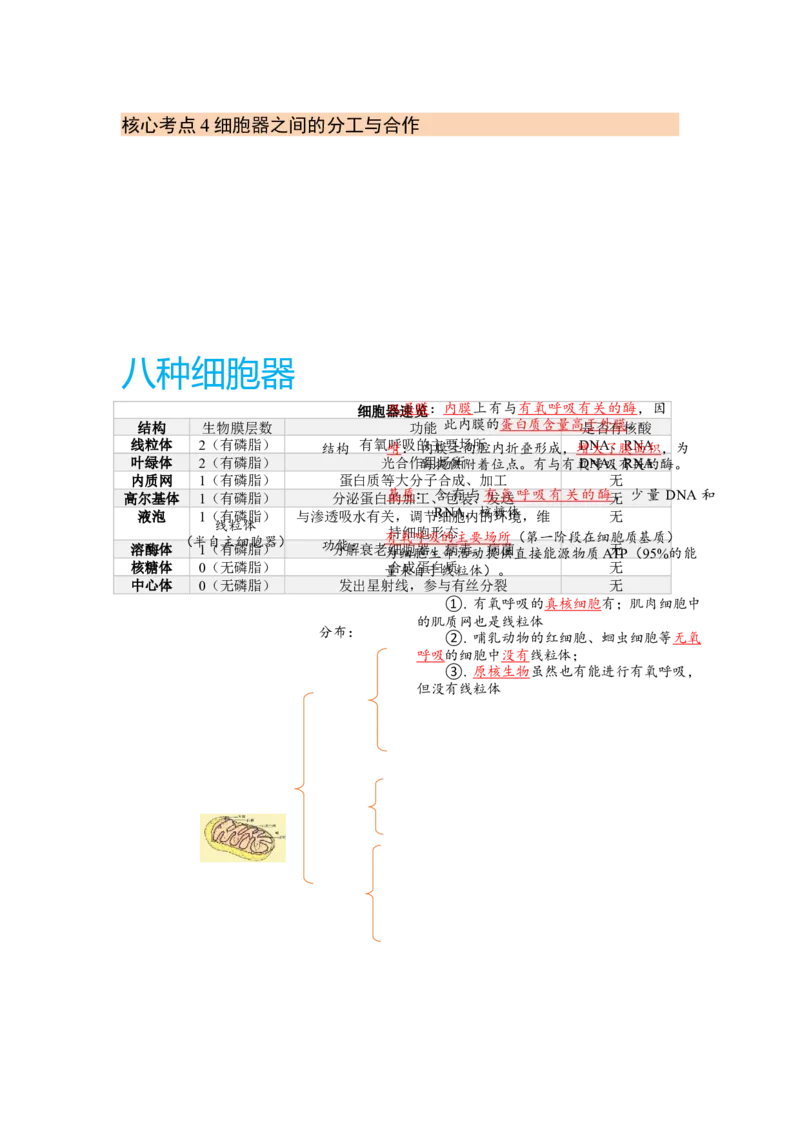 解密02细胞的基本结构（讲义)（学生版）_新高考复习资料_2023年新高考复习资料_二轮复习_高频考点解密2023年高考生物二轮复习讲义+分层训练（全国通用）288808838