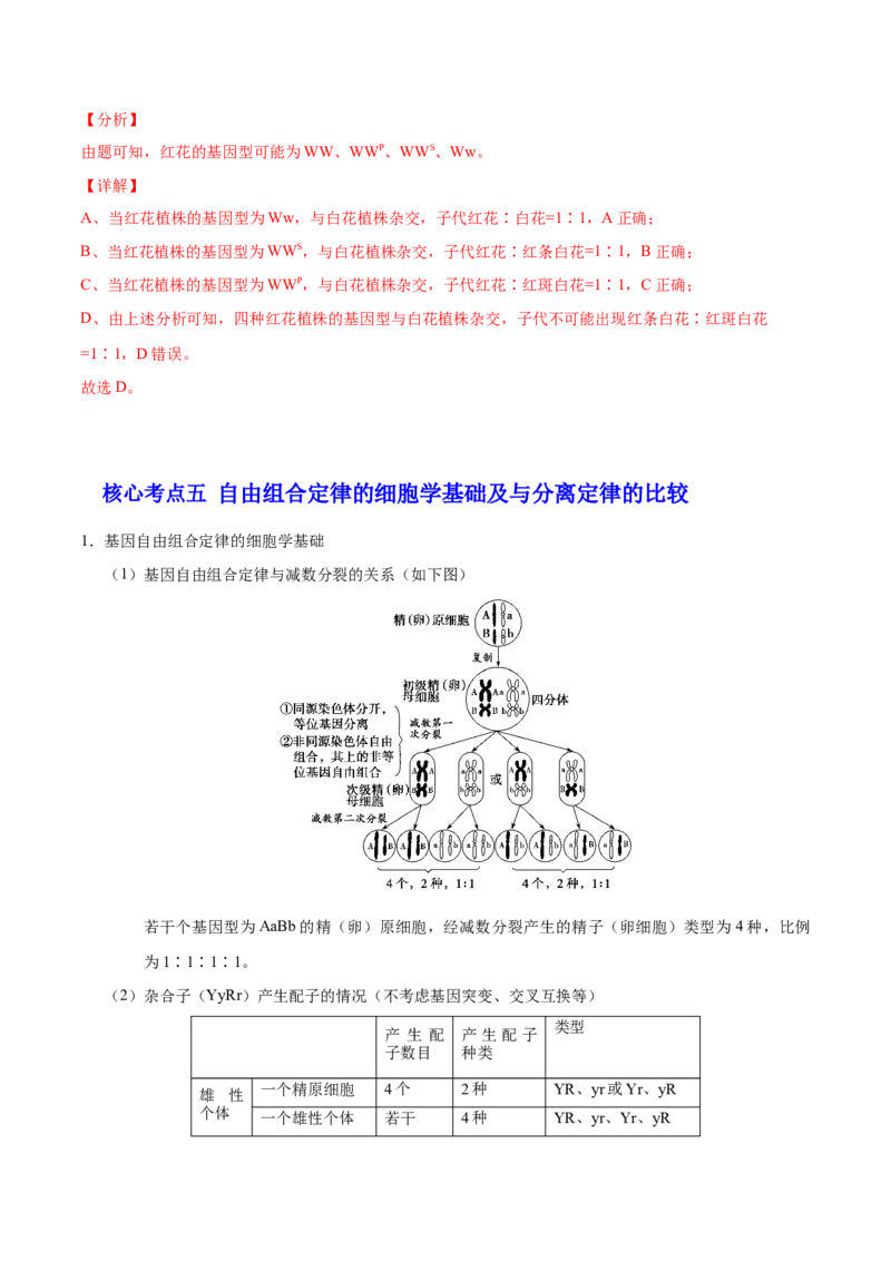 解密11遗传的基本规律（讲义）-高频考点解密2021年高考生物二轮复习讲义+分层训练_新高考复习资料_2021年新高考资料_高频考点解密2021年高考生物二轮复习讲义+分层训练4.7更新
