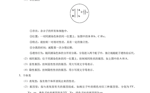 解密11遗传的基本规律（讲义）-高频考点解密2021年高考生物二轮复习讲义+分层训练_新高考复习资料_2021年新高考资料_高频考点解密2021年高考生物二轮复习讲义+分层训练4.7更新