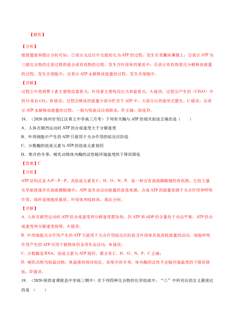 解密04酶和ATP（分层训练）（解析版）_新高考复习资料_2021年新高考资料_高频考点解密2021年高考生物二轮复习讲义+分层训练4.7更新
