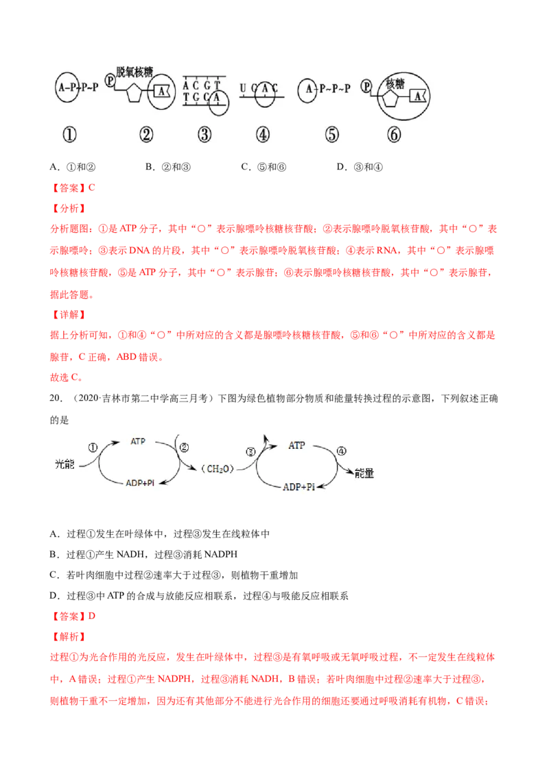 解密04酶和ATP（分层训练）（解析版）_新高考复习资料_2021年新高考资料_高频考点解密2021年高考生物二轮复习讲义+分层训练4.7更新