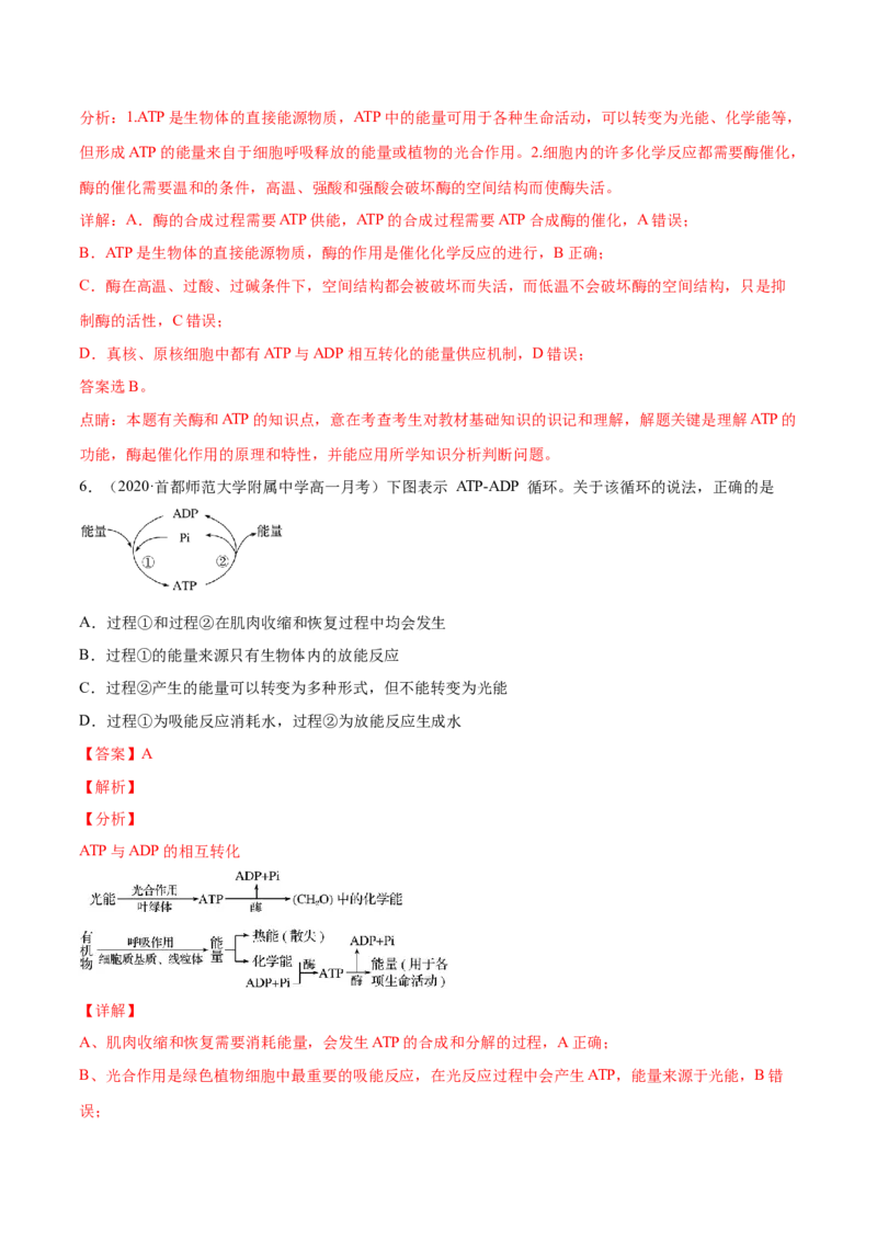 解密04酶和ATP（分层训练）（解析版）_新高考复习资料_2021年新高考资料_高频考点解密2021年高考生物二轮复习讲义+分层训练4.7更新