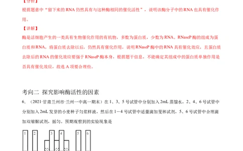 解密04酶和ATP（分层训练）（解析版）_新高考复习资料_2021年新高考资料_高频考点解密2021年高考生物二轮复习讲义+分层训练4.7更新