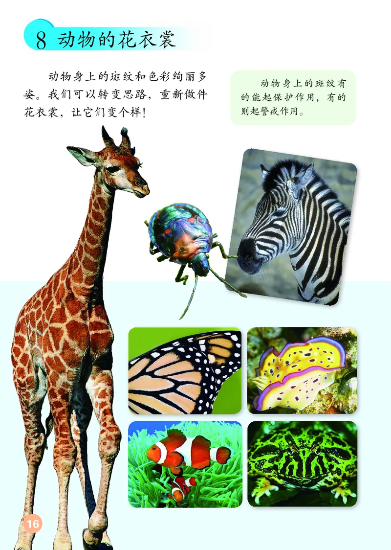 （五四）美术三年级上册_电子课本_小学电子课本_07美术_鲁教版_小学美术鲁教版1-5上册