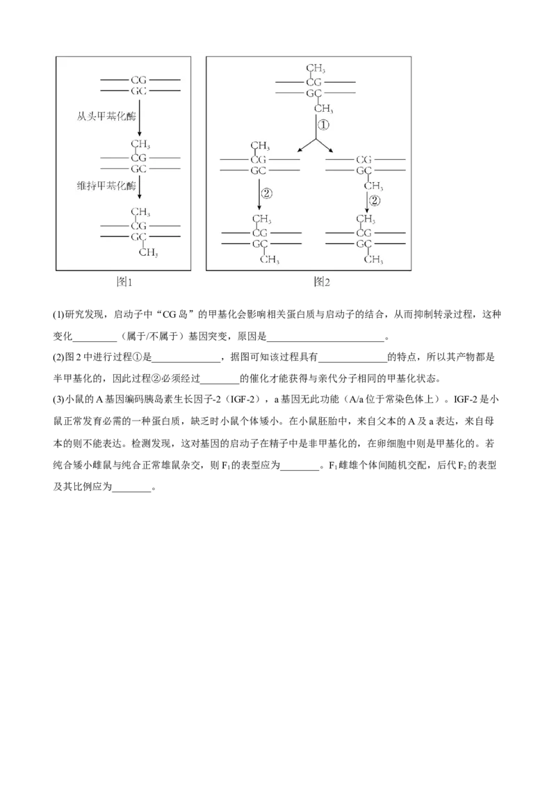 解密09生物的变异（分层训练)（原卷版）_新高考复习资料_2023年新高考复习资料_二轮复习_高频考点解密2023年高考生物二轮复习讲义+分层训练（全国通用）288808838