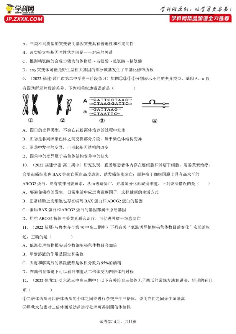解密09生物的变异（分层训练)（原卷版）_新高考复习资料_2023年新高考复习资料_二轮复习_高频考点解密2023年高考生物二轮复习讲义+分层训练（全国通用）288808838