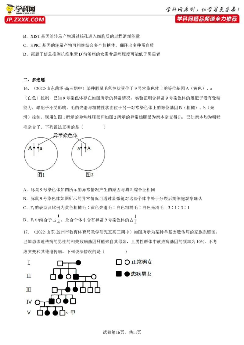 解密09生物的变异（分层训练)（原卷版）_新高考复习资料_2023年新高考复习资料_二轮复习_高频考点解密2023年高考生物二轮复习讲义+分层训练（全国通用）288808838