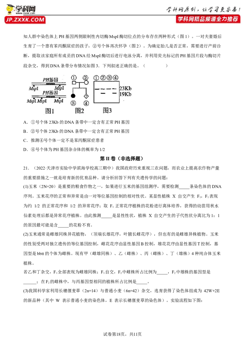 解密09生物的变异（分层训练)（原卷版）_新高考复习资料_2023年新高考复习资料_二轮复习_高频考点解密2023年高考生物二轮复习讲义+分层训练（全国通用）288808838