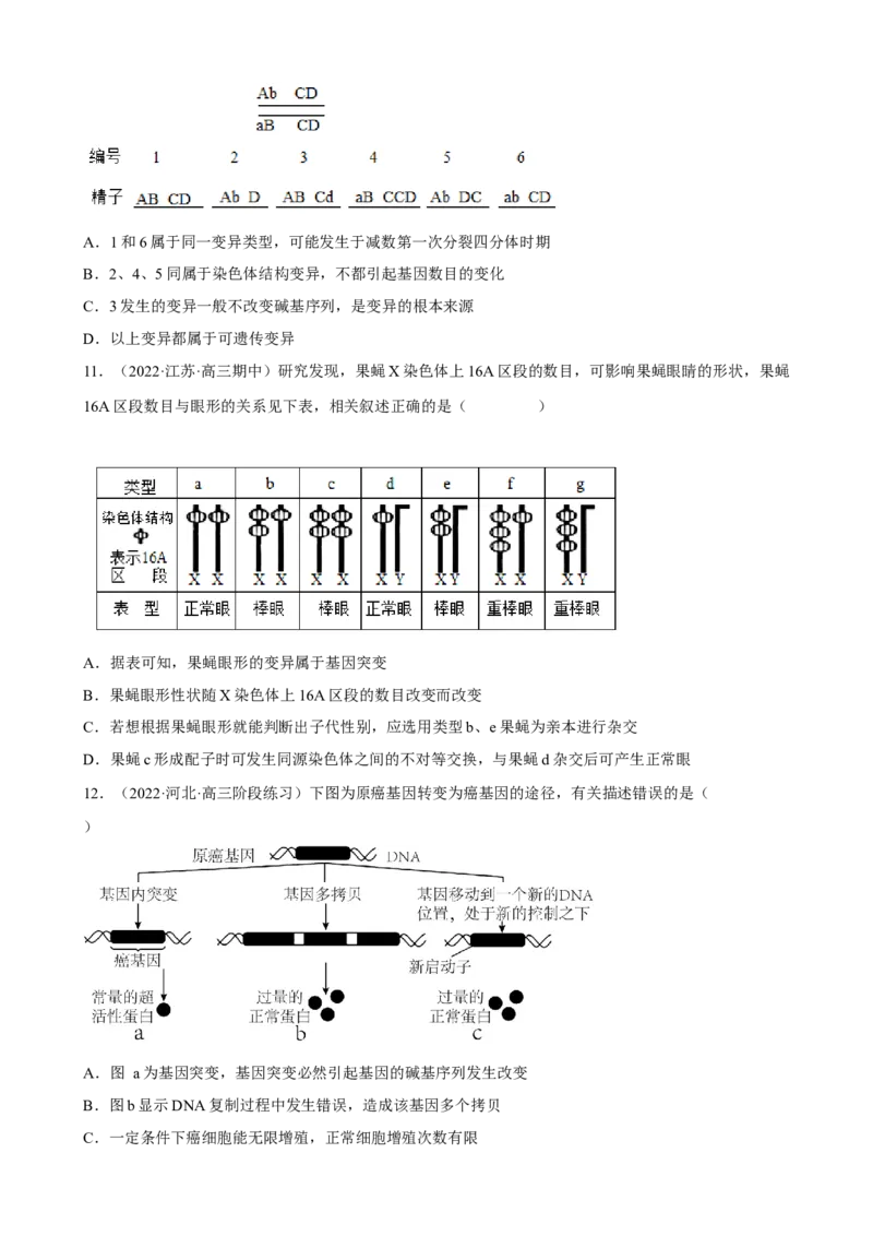 解密09生物的变异（分层训练)（原卷版）_新高考复习资料_2023年新高考复习资料_二轮复习_高频考点解密2023年高考生物二轮复习讲义+分层训练（全国通用）288808838