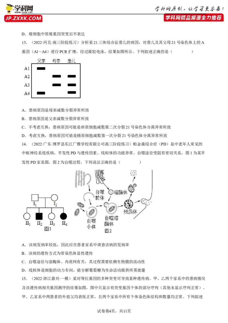 解密09生物的变异（分层训练)（原卷版）_新高考复习资料_2023年新高考复习资料_二轮复习_高频考点解密2023年高考生物二轮复习讲义+分层训练（全国通用）288808838
