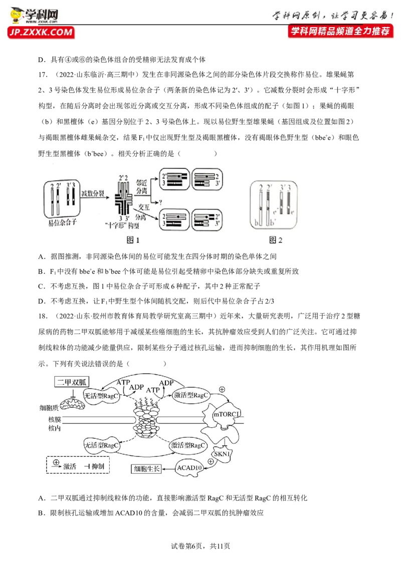 解密09生物的变异（分层训练)（原卷版）_新高考复习资料_2023年新高考复习资料_二轮复习_高频考点解密2023年高考生物二轮复习讲义+分层训练（全国通用）288808838