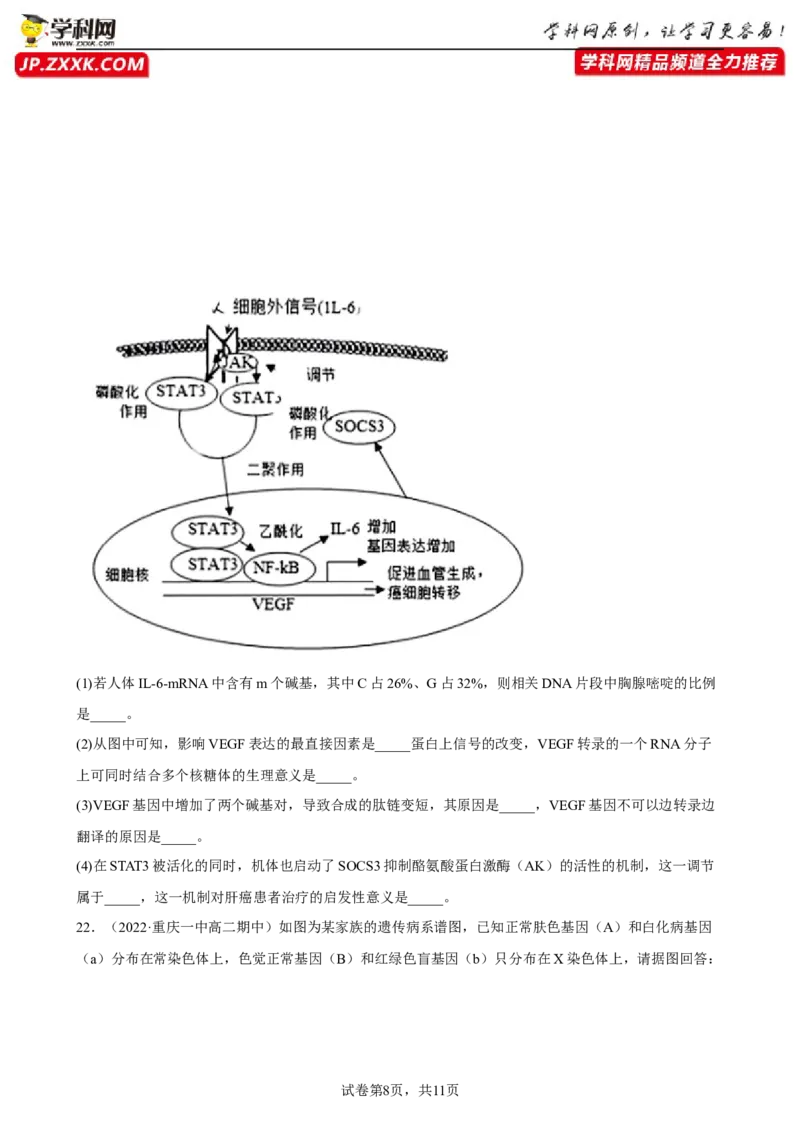 解密09生物的变异（分层训练)（原卷版）_新高考复习资料_2023年新高考复习资料_二轮复习_高频考点解密2023年高考生物二轮复习讲义+分层训练（全国通用）288808838